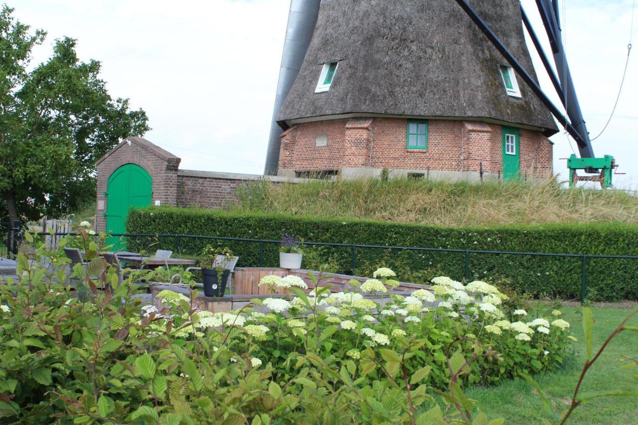 Bij Molen De Blazekop, Rustig En Landelijk Ovezande Extérieur photo